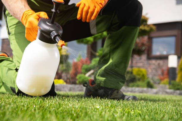 Best Ant Control Services  in York, AL