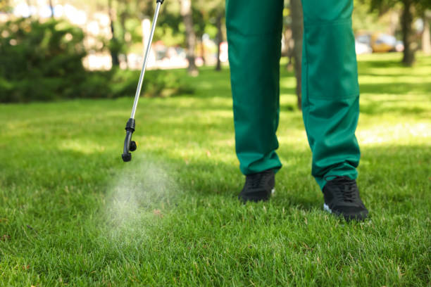 Best Cockroach Control Services  in York, AL
