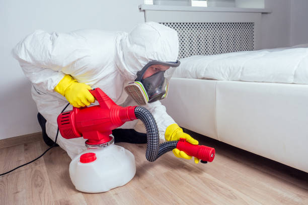 Best Wildlife Control Services  in York, AL