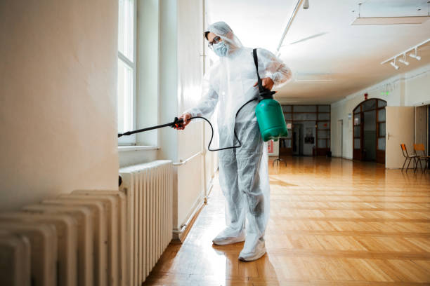 Best Flea Control Services  in York, AL